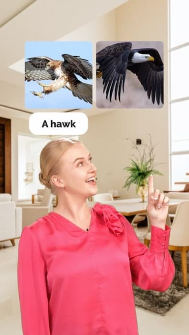 similar-birds