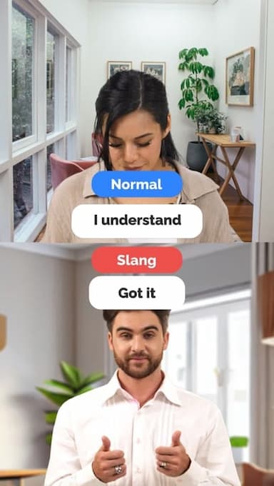 normal-vs-slang-guess