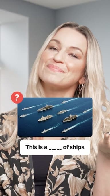 islands-dolphins-ships-fish