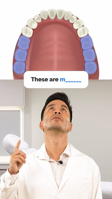 types-of-teeth
