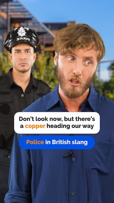 the-police-in-british-slang