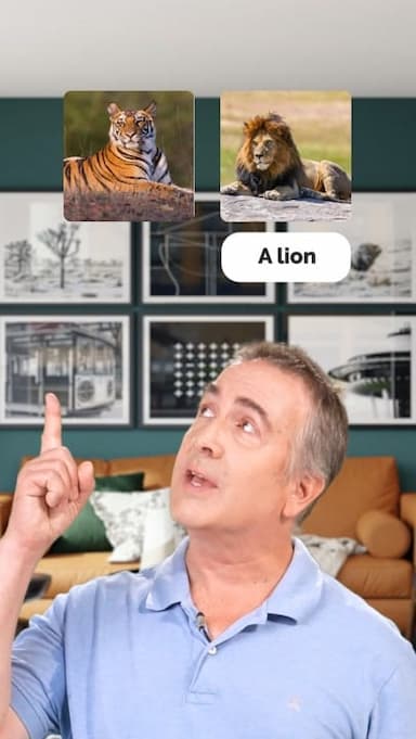 similar-animals