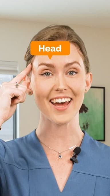 parts-of-the-head