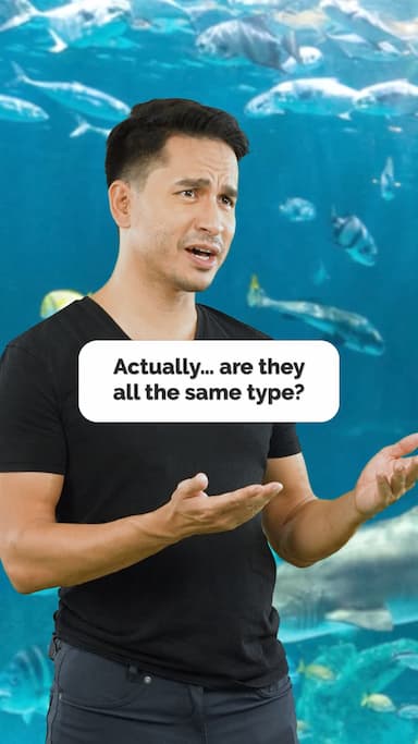 fish-or-fishes