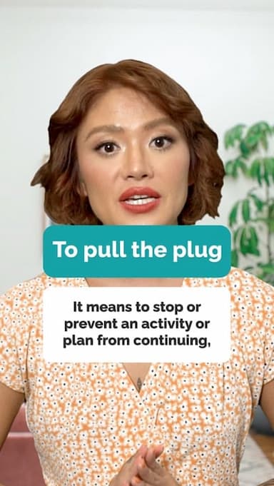 to-pull-the-plug